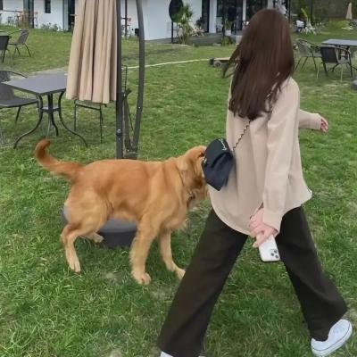 看我说什么
